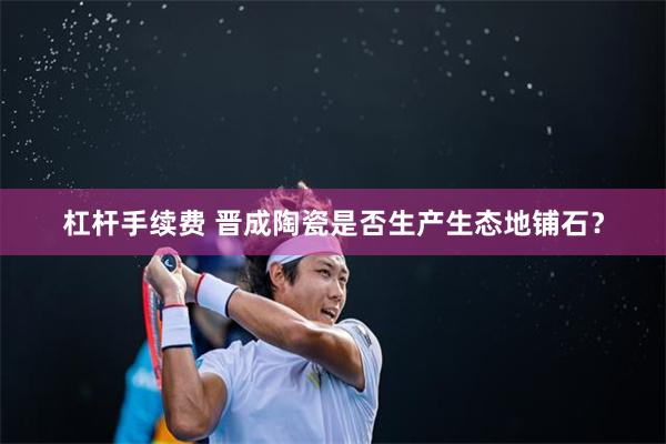 杠杆手续费 晋成陶瓷是否生产生态地铺石？