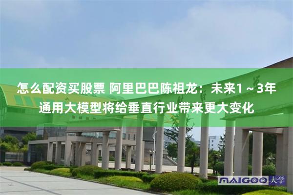 怎么配资买股票 阿里巴巴陈祖龙：未来1～3年通用大模型将给垂直行业带来更大变化