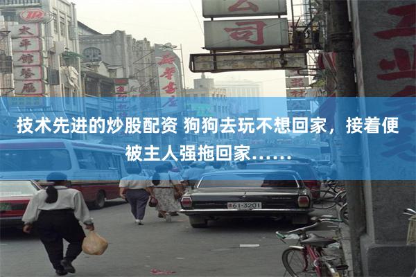 技术先进的炒股配资 狗狗去玩不想回家，接着便被主人强拖回家……