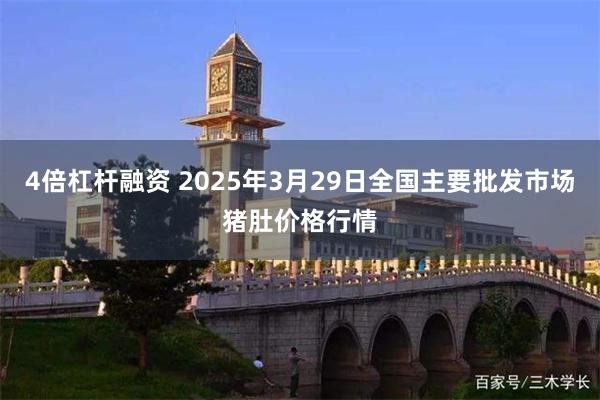 4倍杠杆融资 2025年3月29日全国主要批发市场猪肚价格行情
