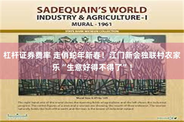 杠杆证券费率 走俏蛇年新春！江门新会独联村农家乐“生意好得不得了”！