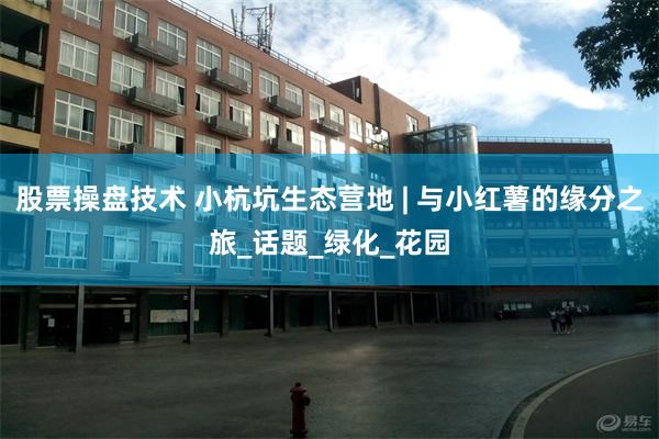 股票操盘技术 小杭坑生态营地 | 与小红薯的缘分之旅_话题_绿化_花园