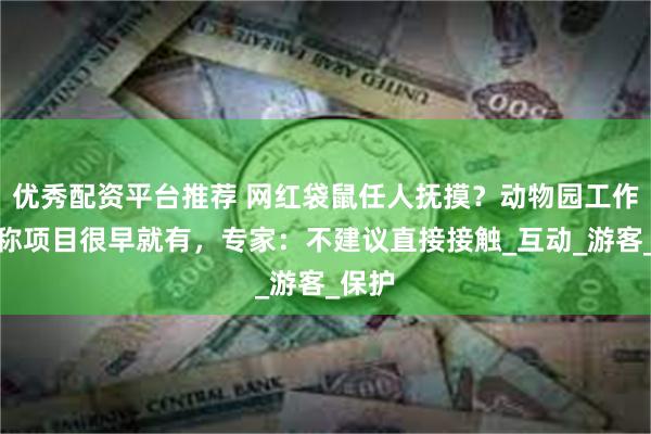 优秀配资平台推荐 网红袋鼠任人抚摸？动物园工作人员称项目很早就有，专家：不建议直接接触_互动_游客_保护