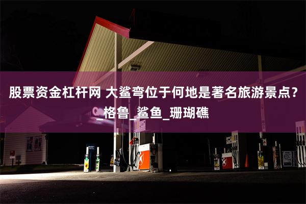 股票资金杠杆网 大鲨弯位于何地是著名旅游景点？_格鲁_鲨鱼_珊瑚礁