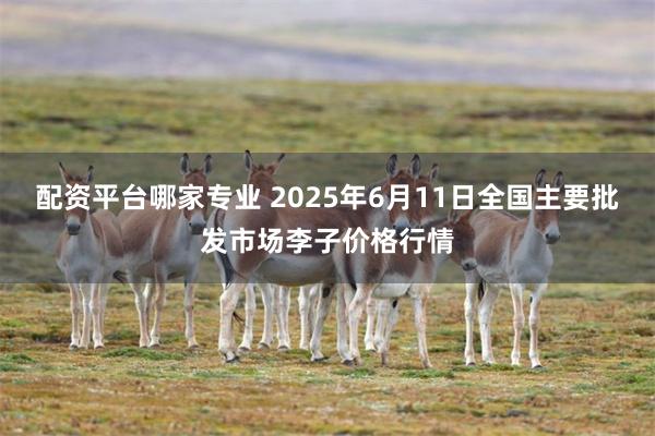 配资平台哪家专业 2025年6月11日全国主要批发市场李子价格行情