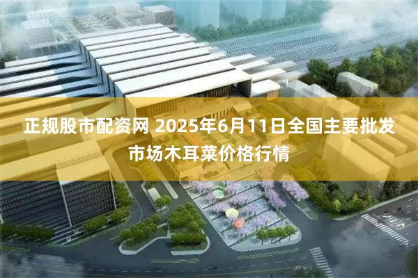 正规股市配资网 2025年6月11日全国主要批发市场木耳菜价格行情