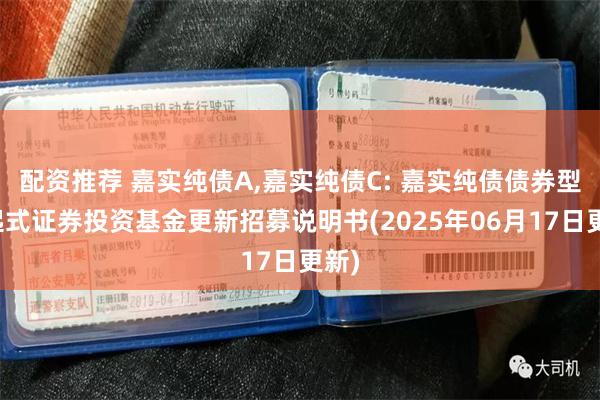 配资推荐 嘉实纯债A,嘉实纯债C: 嘉实纯债债券型发起式证券投资基金更新招募说明书(2025年06月17日更新)
