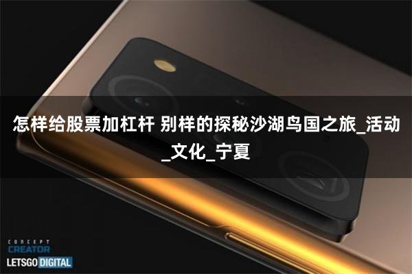 怎样给股票加杠杆 别样的探秘沙湖鸟国之旅_活动_文化_宁夏