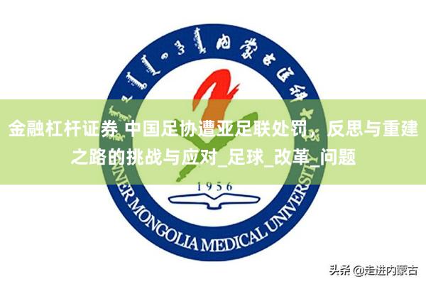 金融杠杆证券 中国足协遭亚足联处罚，反思与重建之路的挑战与应对_足球_改革_问题