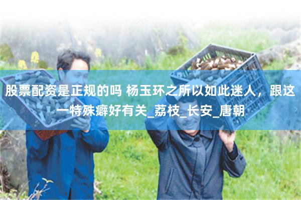 股票配资是正规的吗 杨玉环之所以如此迷人，跟这一特殊癖好有关_荔枝_长安_唐朝