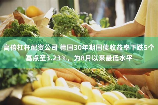 高倍杠杆配资公司 德国30年期国债收益率下跌5个基点至3.23%，为8月以来最低水平